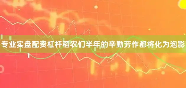 专业实盘配资杠杆稻农们半年的辛勤劳作都将化为泡影