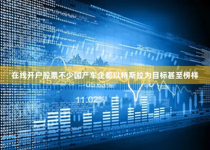 在线开户股票不少国产车企都以特斯拉为目标甚至榜样