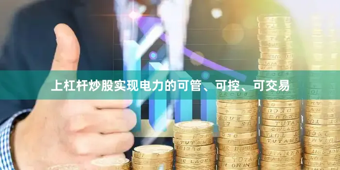 上杠杆炒股实现电力的可管、可控、可交易