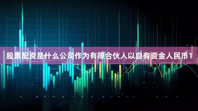 股票配资是什么公司作为有限合伙人以自有资金人民币1